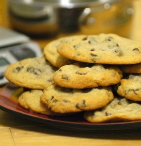 DSC_2869_crop