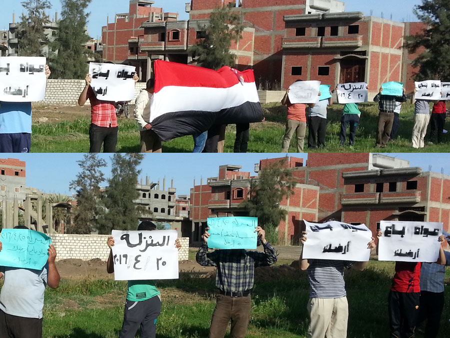 http://manzalawy.org/wp-content/uploads/2016/04/01-13.jpg