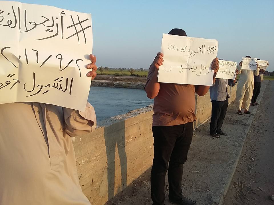 14102618_155778864864968_956114360416906226_n